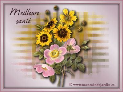 Meilleur  sant�